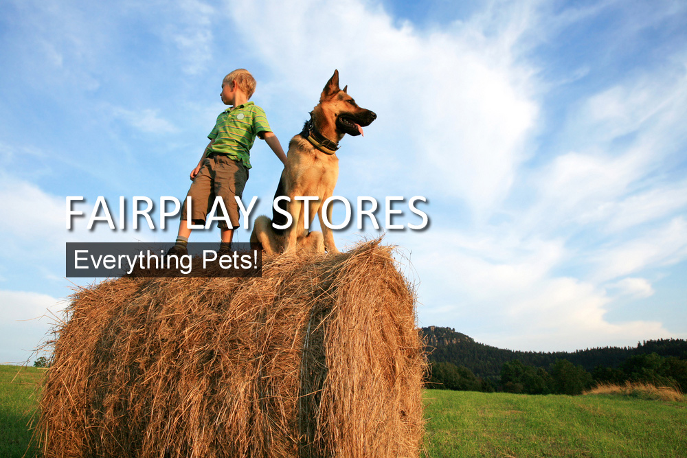 Fairplay Stores Everything Pets